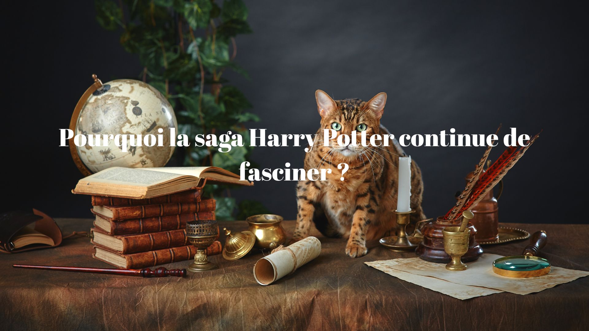 La fascination pour la saga Harry Potter dans le monde