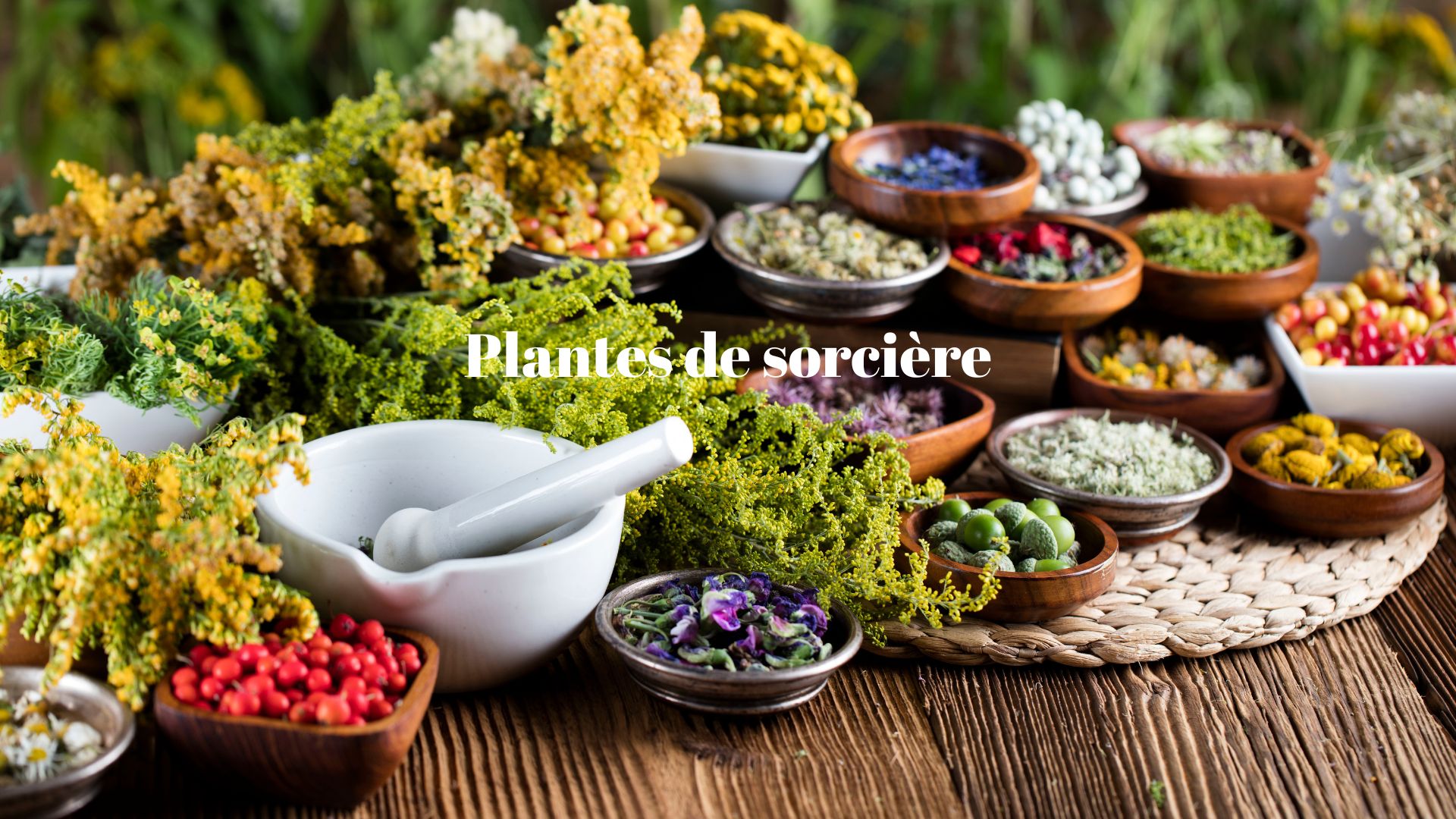 Les sorcières tiennent une vraie herboristerie dans leur cuisine